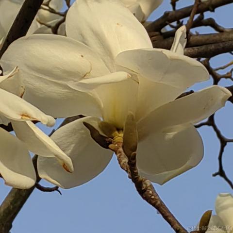 Alice张于2023-04-12 22:26发布的图片