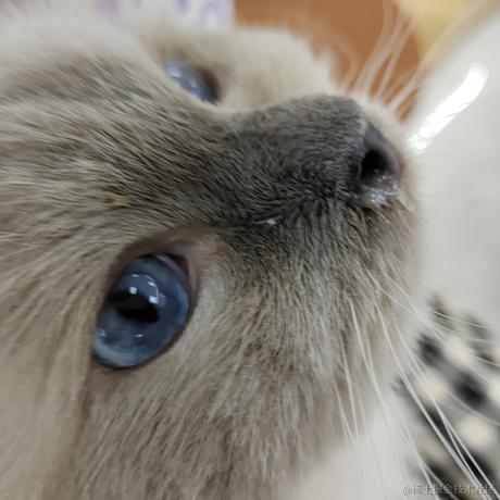 嘉晚饭超好吃于2022-12-04 18:18发布的图片