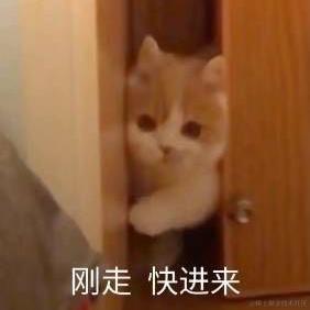 于五五于2021-12-14 14:30发布的图片
