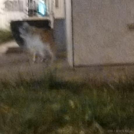 正数计时于2022-11-13 22:45发布的图片