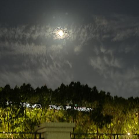 吃鱼徐于2023-06-02 21:07发布的图片