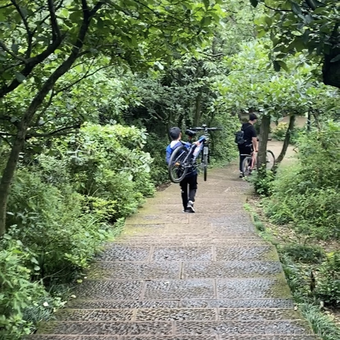 braveMan于2022-11-26 12:24发布的图片