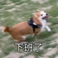 头发超多的柚子于2023-09-28 13:49发布的图片