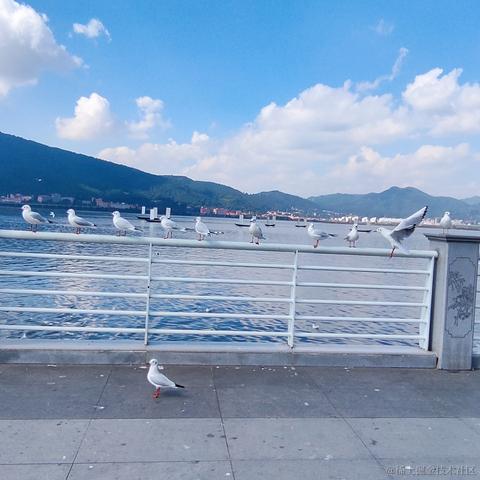 未知中于2023-10-13 17:25发布的图片