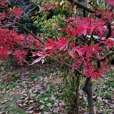 Reeeee于2022-12-20 10:01发布的图片