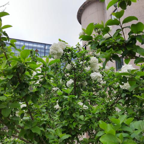 Sarah_于2024-05-28 08:54发布的图片