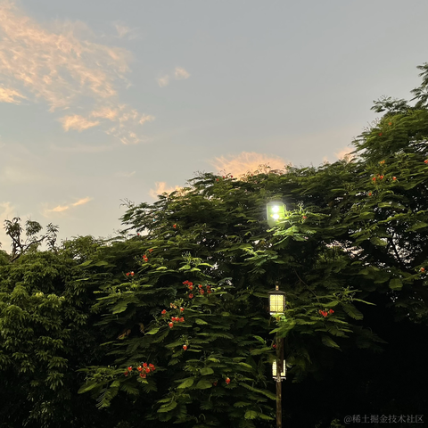 紫菜捏于2022-11-21 09:44发布的图片