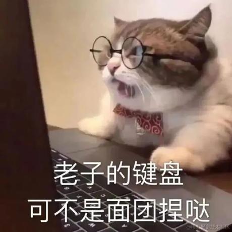 淺夏于2023-04-12 00:59发布的图片