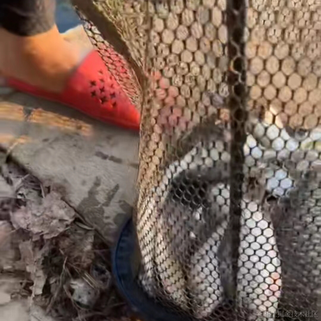 PP_1024于2022-10-01 23:21发布的图片