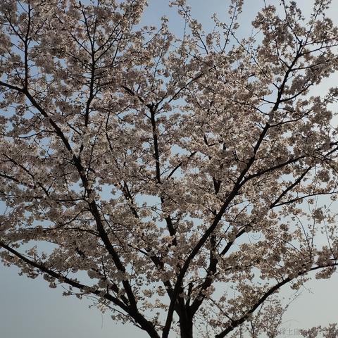 getify于2023-03-26 15:07发布的图片