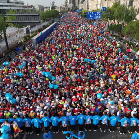 suri于2023-04-16 20:46发布的图片