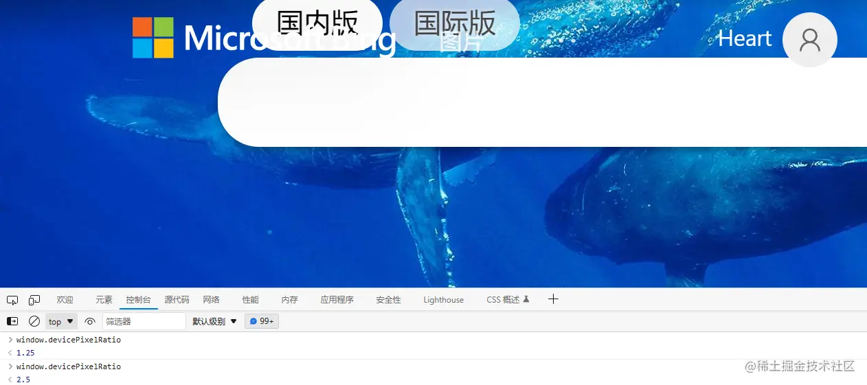image-20230219145331397.png