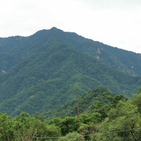 用户674500597397于2024-07-07 07:51发布的图片