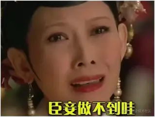 臣妾做不到啊.jpg