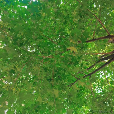 沐的不眠日记于2023-05-04 21:04发布的图片
