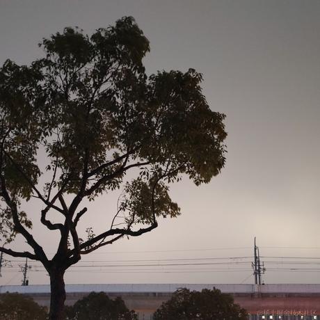 吃鱼的不一定是猫于2024-02-29 13:17发布的图片