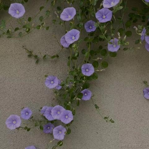 汽水味的小盆友于2022-11-14 22:14发布的图片