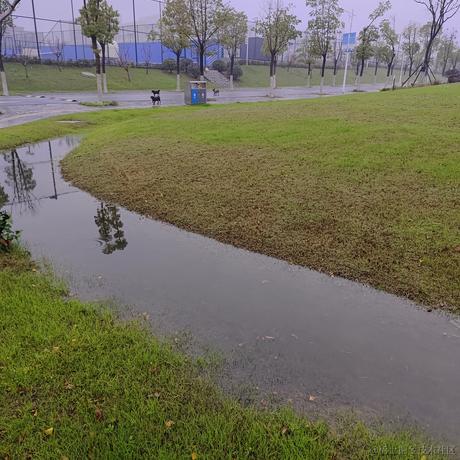 Willow_于2022-11-29 10:33发布的图片