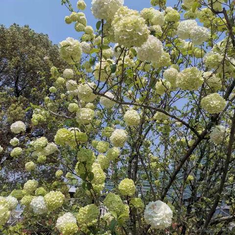 已注销于2021-03-25 17:41发布的图片