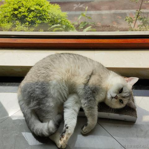 青春饭于2023-03-14 09:14发布的图片