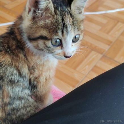 王木拉于2023-07-03 13:34发布的图片