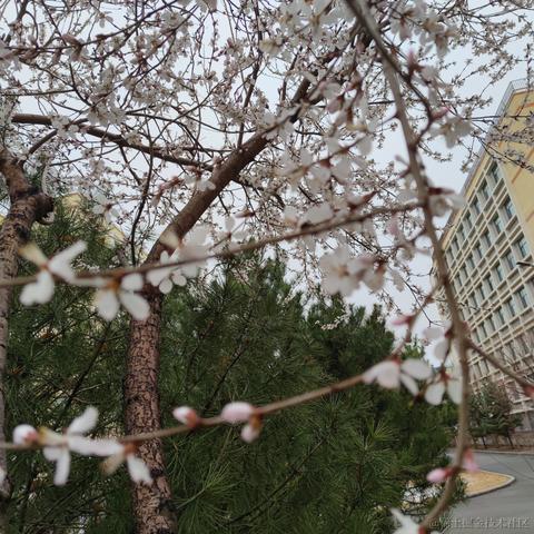 用户1008683613726于2023-04-18 13:11发布的图片