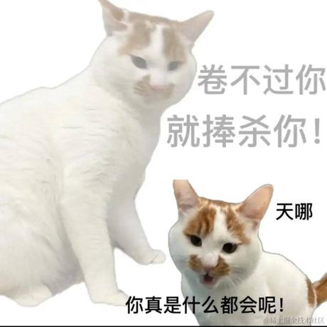 HolyKillin于2024-04-16 16:14发布的图片