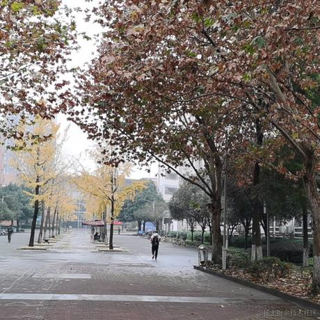 不过顶晚人于2022-11-17 12:13发布的图片