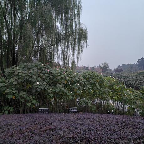 bk0717橡皮擦于2022-11-25 07:50发布的图片