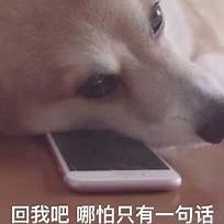 单手撸代码于2023-03-16 18:43发布的图片