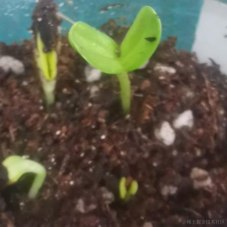 126个倾于2023-06-23 09:31发布的图片