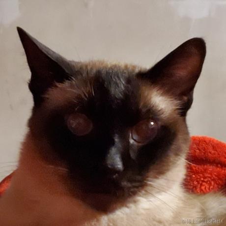 Hypocrite于2023-05-22 18:56发布的图片