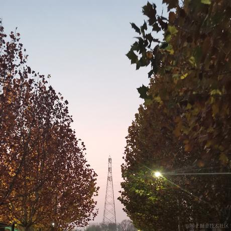 adt于2022-11-23 17:56发布的图片