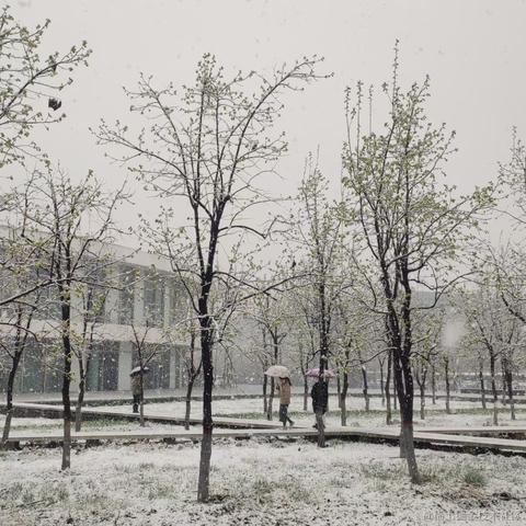 道友请留步_于2023-03-16 15:36发布的图片