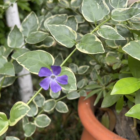 安酱于2023-04-22 09:21发布的图片