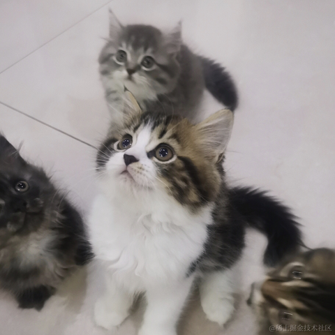 破败于2021-08-13 09:57发布的图片