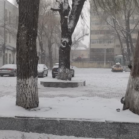 猫猫猫猫猫螺于2022-11-29 12:51发布的图片