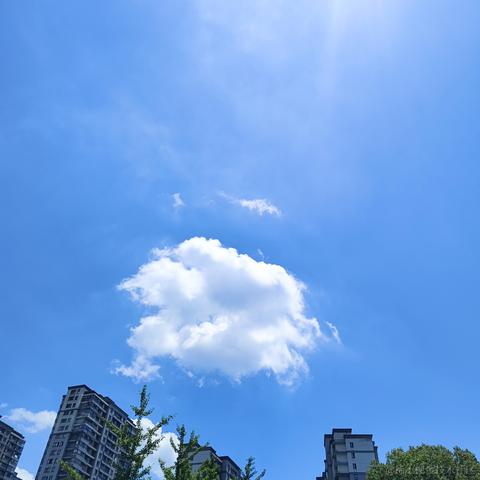 星_星于2024-07-05 14:10发布的图片