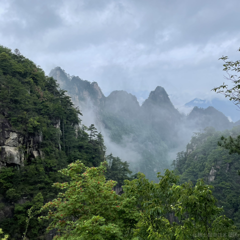 Ylimhs于2023-05-29 08:36发布的图片