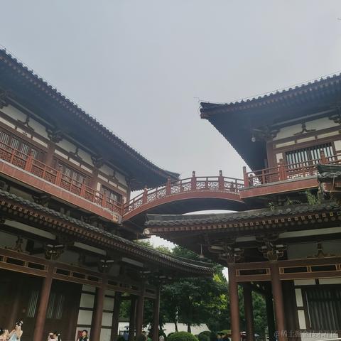 小苏学技术于2023-07-29 18:13发布的图片