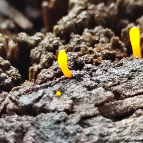 Uwiling于2022-12-02 22:23发布的图片