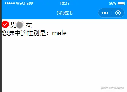 4.radio单选框.gif