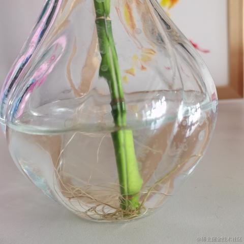 丁一ding于2023-05-27 14:21发布的图片