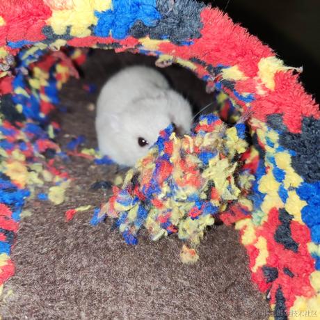 你永远可以相信好兄弟于2022-12-20 21:15发布的图片