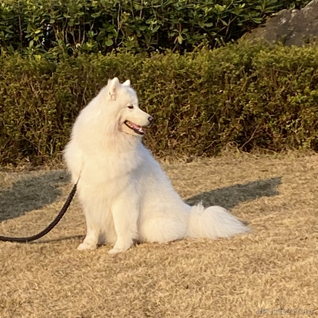 乃王不木木于2022-12-10 19:10发布的图片