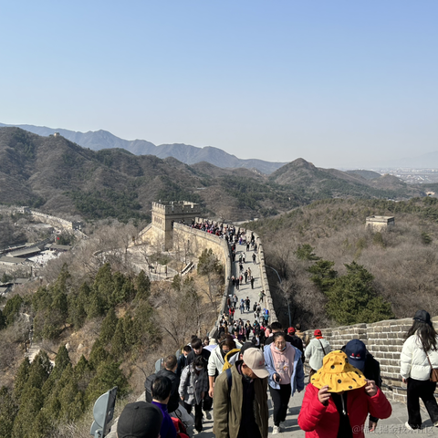 Code皮皮虾于2023-03-19 21:02发布的图片