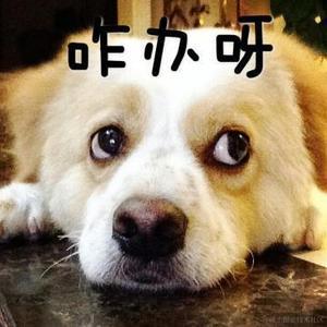 SympathyAJ于2020-08-20 15:31发布的图片