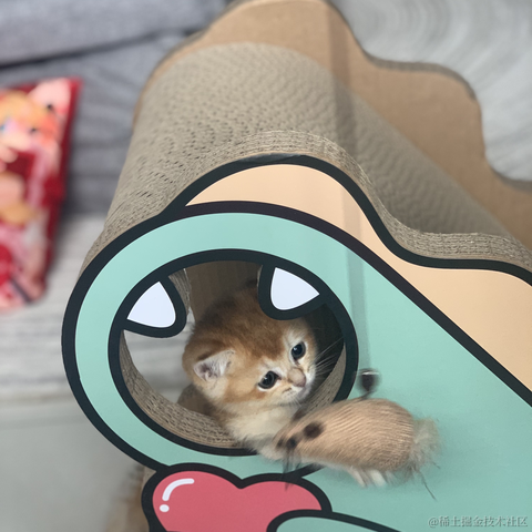 小蝴蝶于2021-12-24 17:49发布的图片