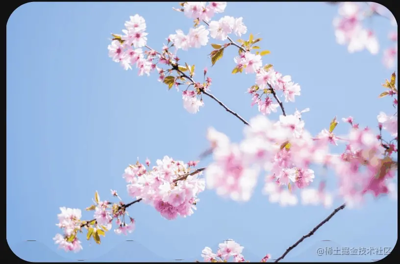 CPT2203240724-816x539.gif