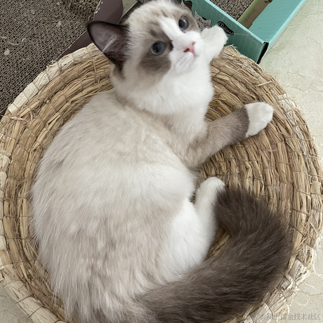 找不到我找不到我于2022-06-15 17:18发布的图片